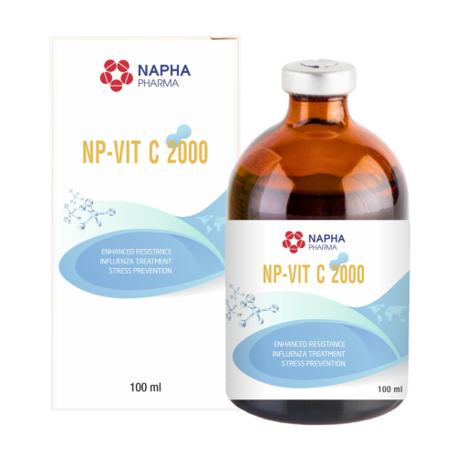 NP - VIT C 2000