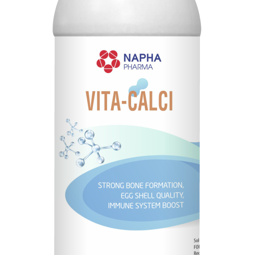 VITA - CALCI