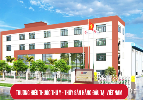 Tầm nhìn - sứ mệnh - cam kết