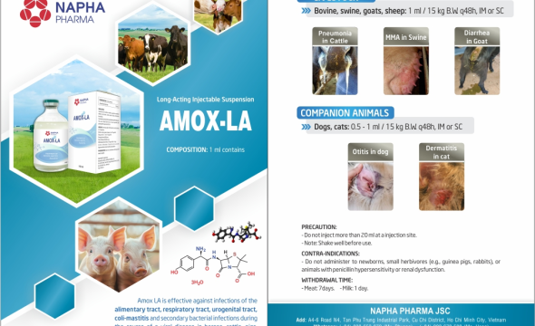 AMOX - LA