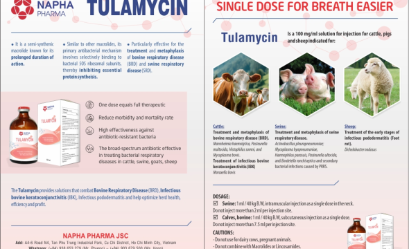 TULAMYCIN